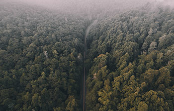 Locations our Wheelchair Shuttle Bus Can Take You in Western NC