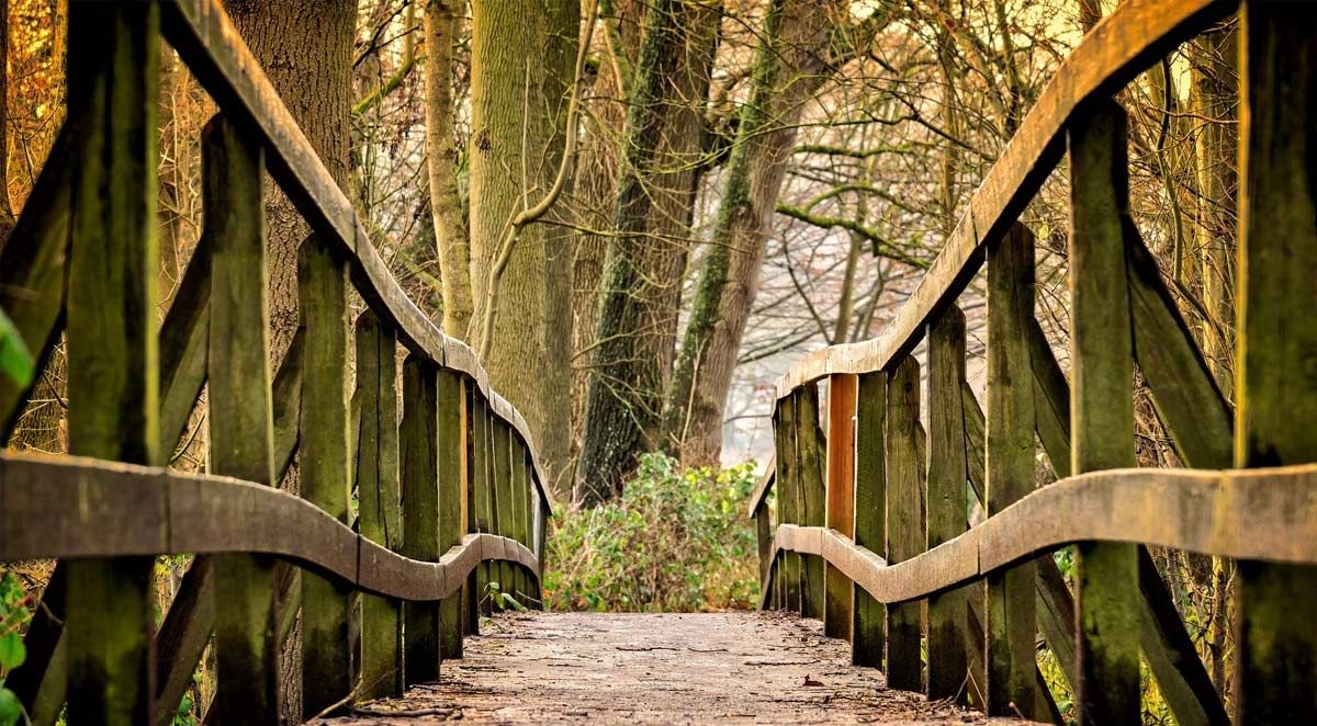 077ab55046ce80eaf9a3ddea999597ca Blog