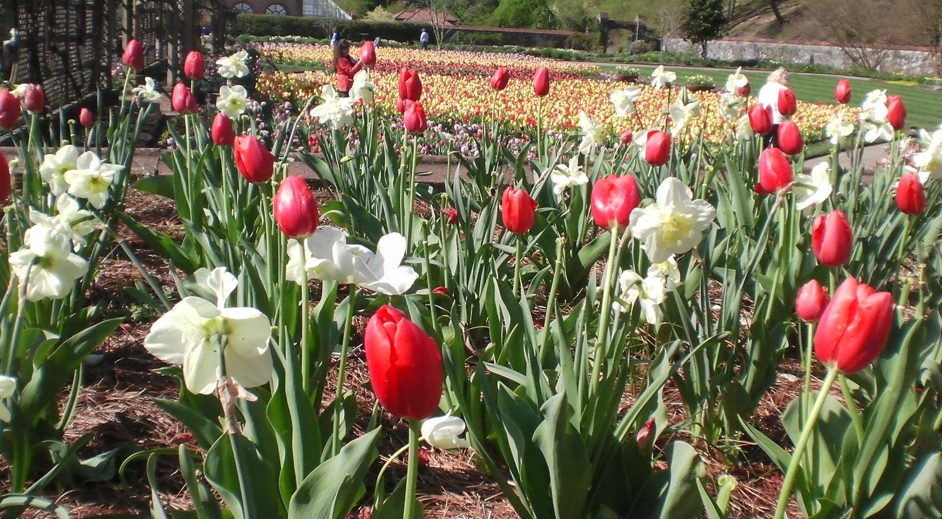 1c0ae2205709722b62e843abc0471a55 Blog