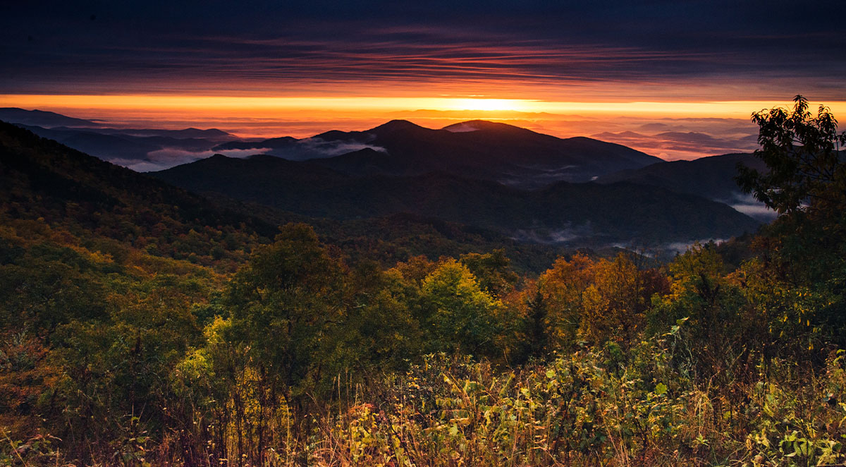 Best Ways to See the Leaves in Asheville for Seniors and the Disabled