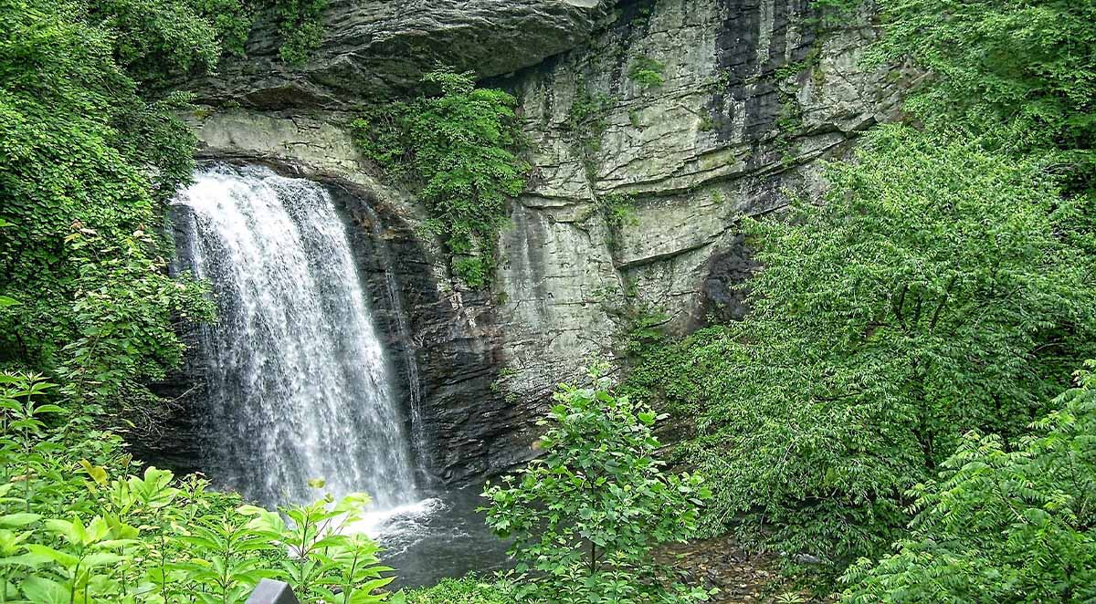 90701d02ae3da0e5a21abbd900c25748 Displaying Items 31-34 | Loyal Lifts Blog