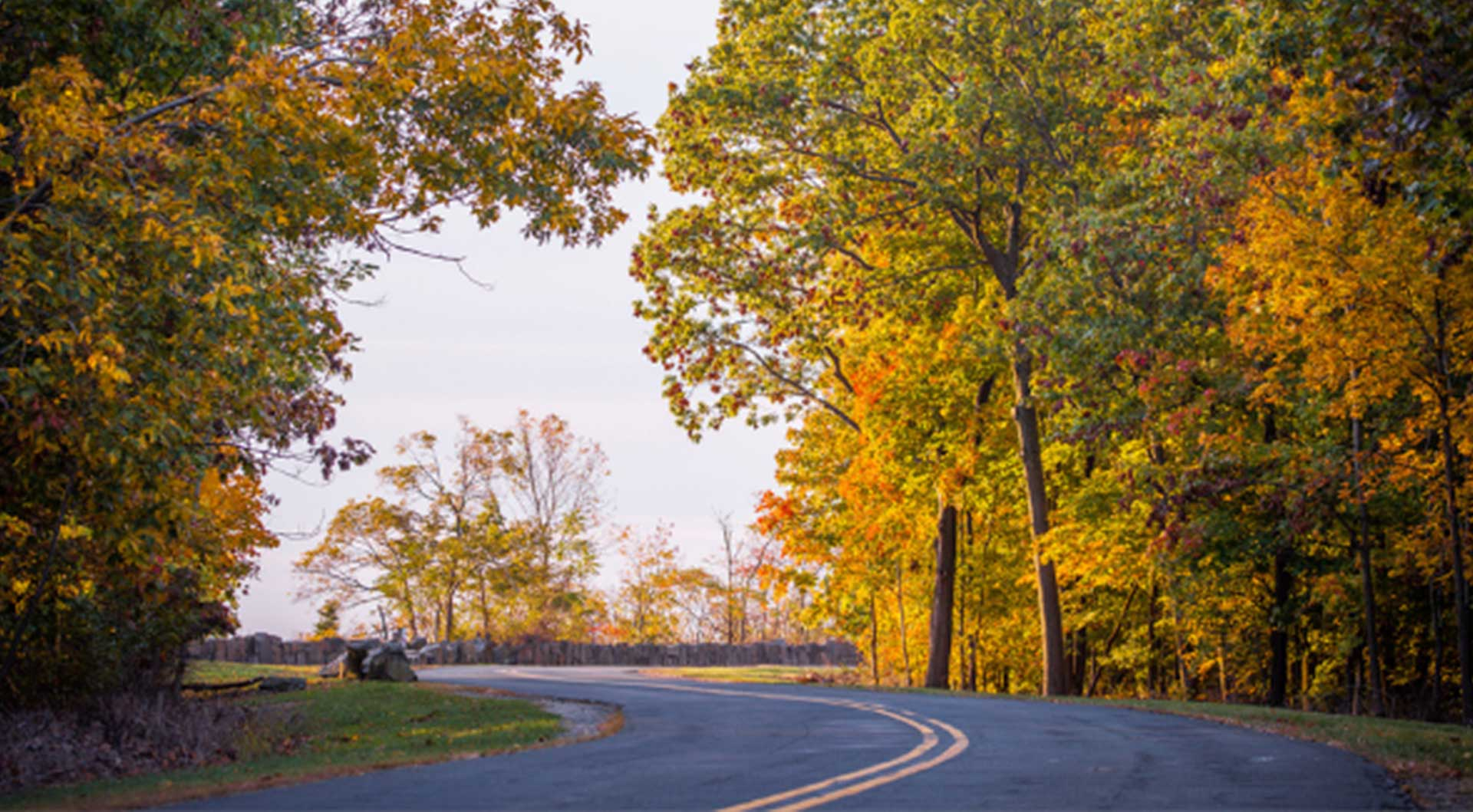 f710044bf79a4b1f5d8b085e5e5d9711 Blog